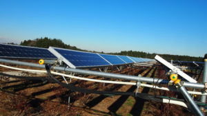 ソーラーシェアリング　太陽光発電とブルーベリー